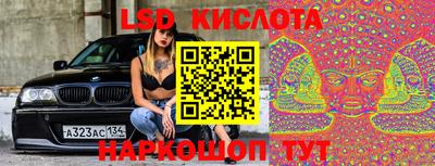 прущие грибы Бузулук
