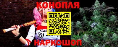 прущие грибы Бузулук