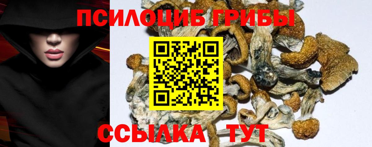 Псилоцибиновые грибы мухоморы Чистополь